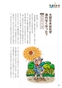 未来へ伝えたい阿武の昔ばなし