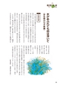 未来へ伝えたい阿武の昔ばなし