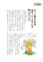 未来へ伝えたい阿武の昔ばなし