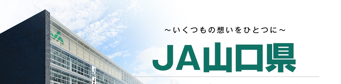 JA山口県