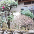 townhouse 山口県阿武郡阿武町大字奈古（西ノ二）